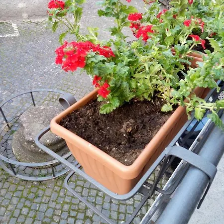 Platea Oche Semesterbostad