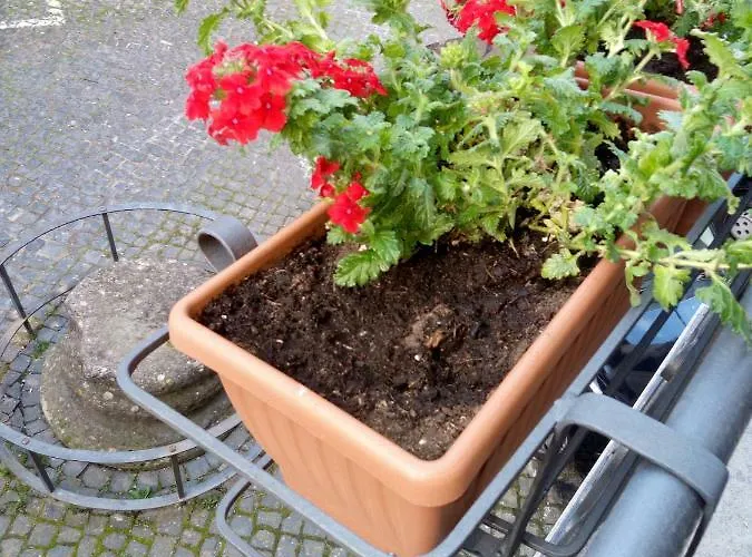 Platea Oche Σπίτι διακοπών